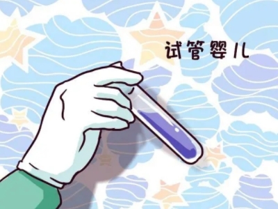 主案例